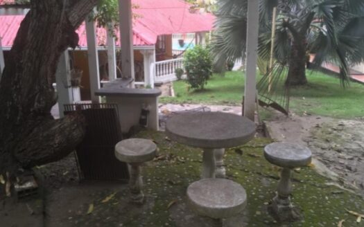 Finca Melgar via Carmen de Apicala vereda El Charcon – Venta – 6.400 m2