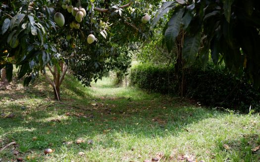 LA MESA CUNDINAMARCA VEREDA LAGUNA VERDE: VENTA FINCA AGRICOLA SIN CASA 16.000 M2, $400.000.000