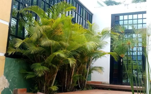 ARBELAEZ VEREDA SAN ROQUE VENTA AMOBLADA FINCA DE RECREO 10.000 M2 Y 2 CASAS $900.000.000