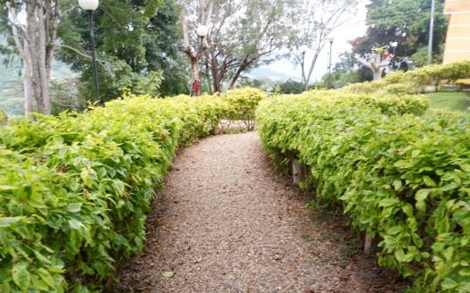 ARBELAEZ VEREDA SAN ROQUE VENTA AMOBLADA FINCA DE RECREO 10.000 M2 Y 2 CASAS $900.000.000