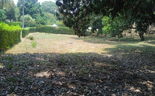 Lote Carmen de Apicala legalizado urbanizado